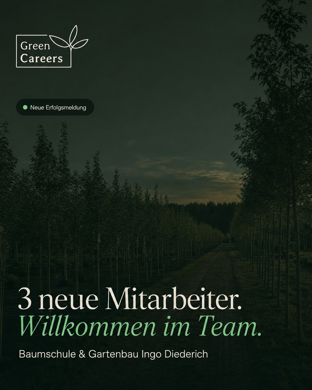 w1-di-erfolg-diederich-45