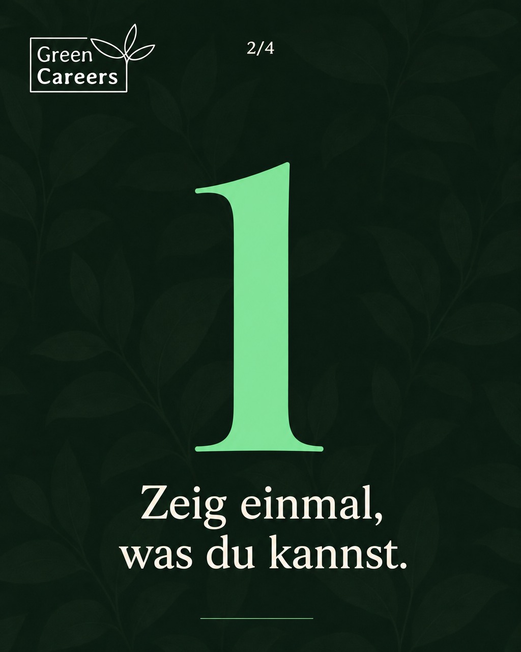 w2-mi-bewerber-k-s2