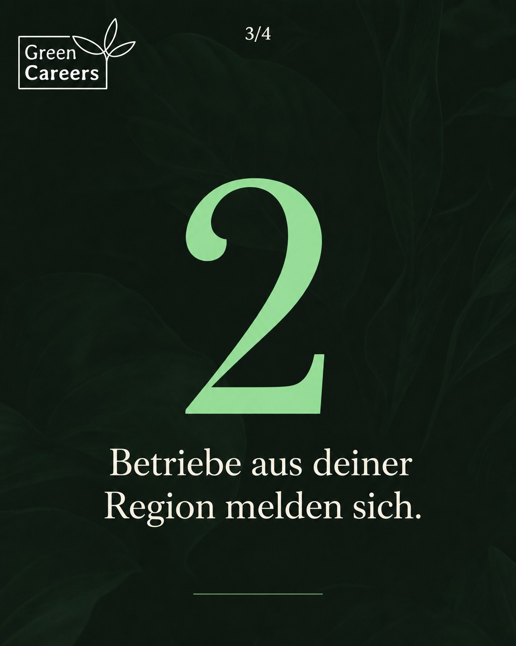w2-mi-bewerber-k-s3