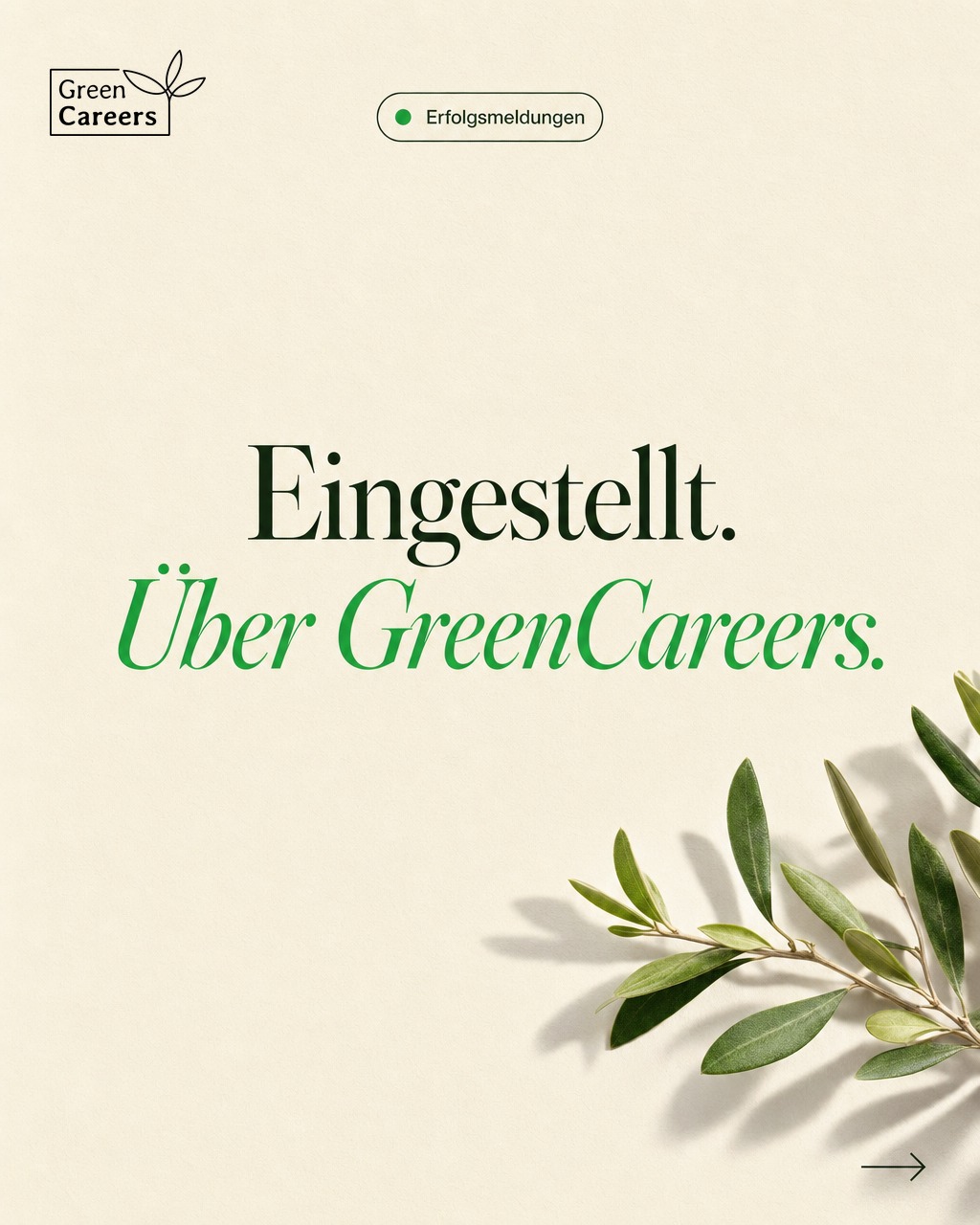 w3-di-erfolg-k-cover
