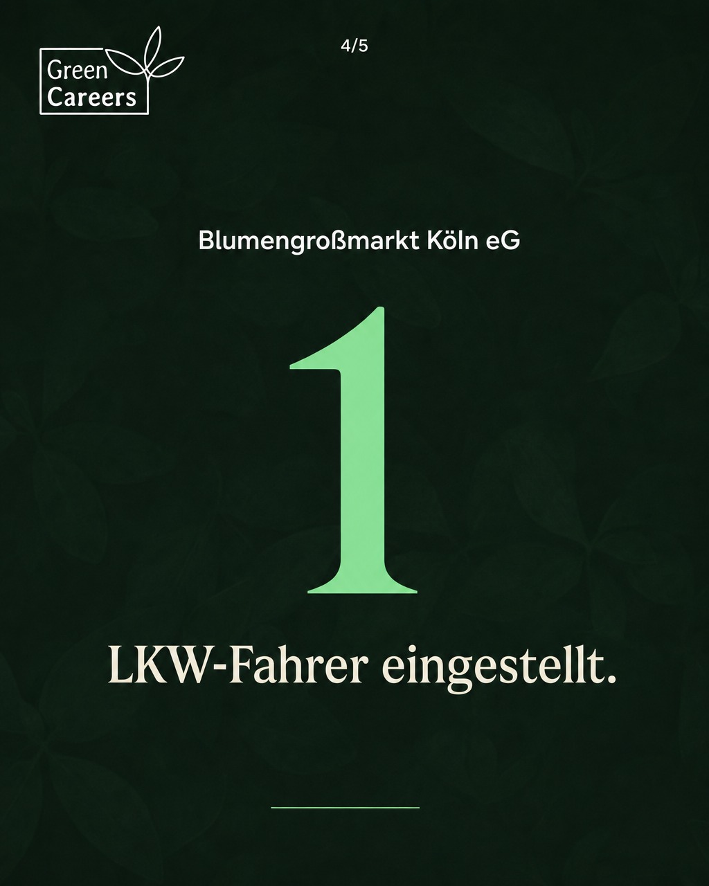 w3-di-erfolg-k-s4