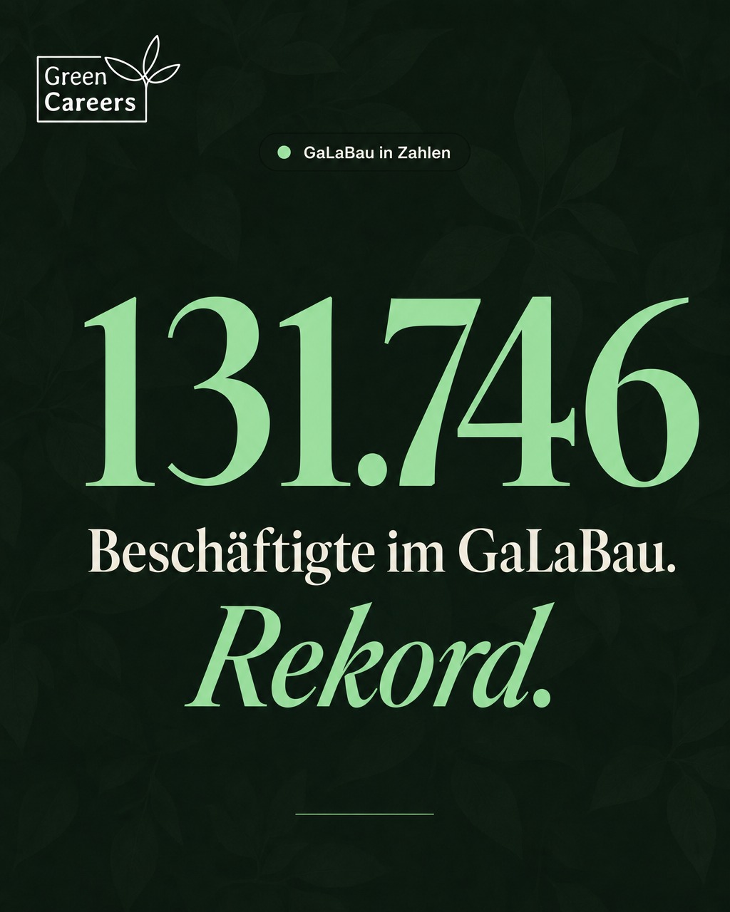 w3-mo-insight-beschaeftigte