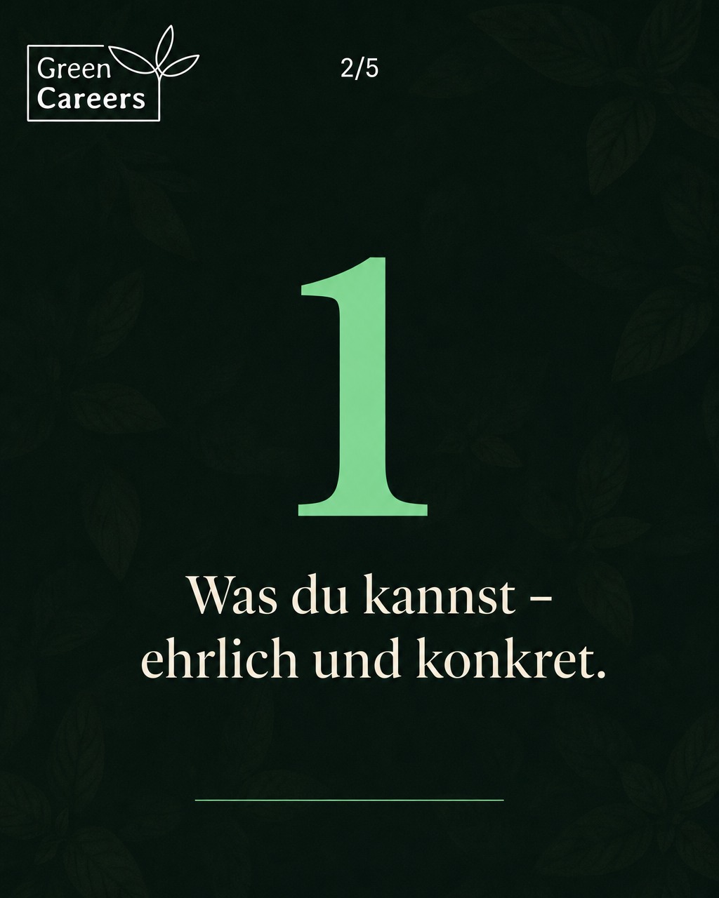 w4-mi-bewerber-k-s2