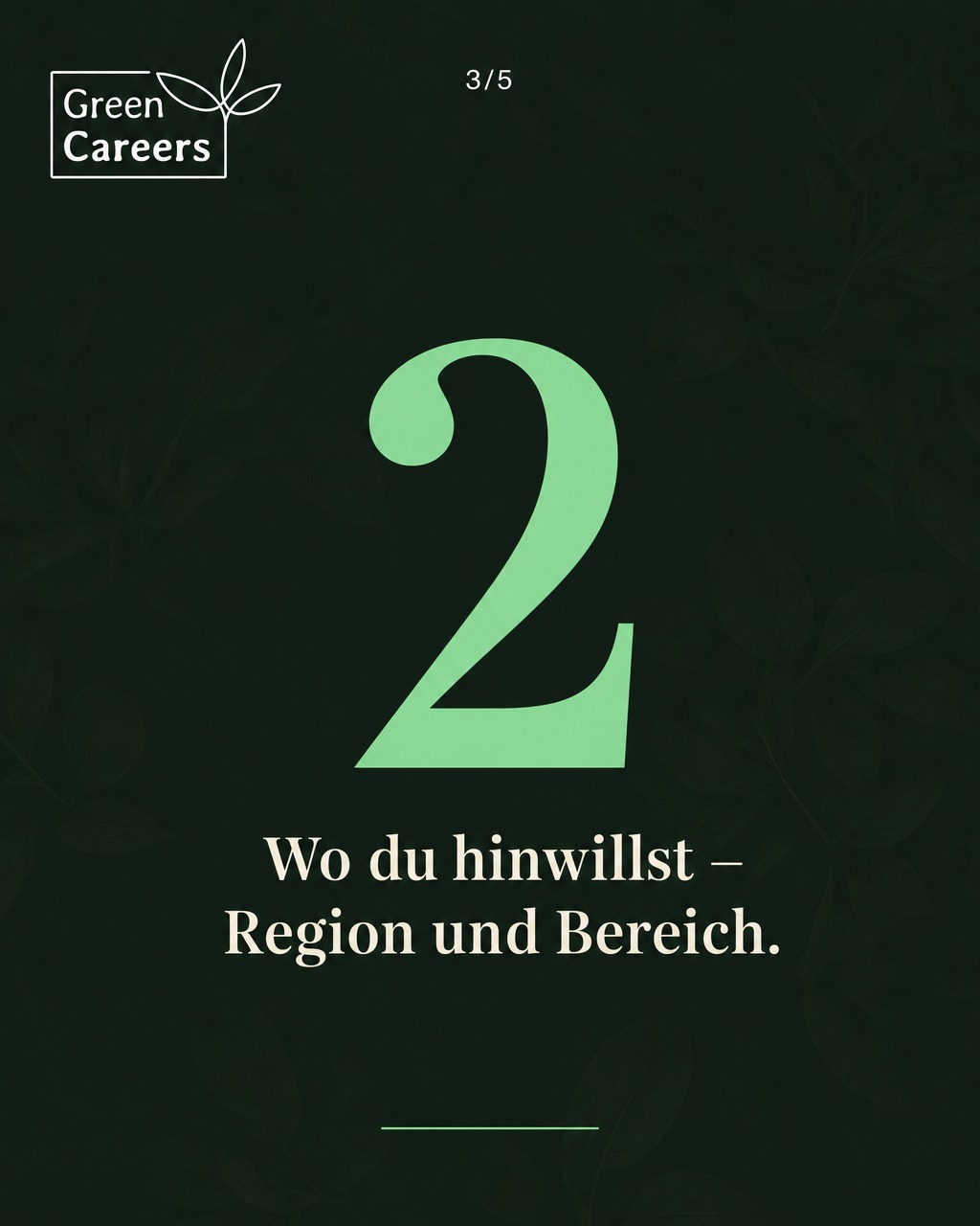 w4-mi-bewerber-k-s3