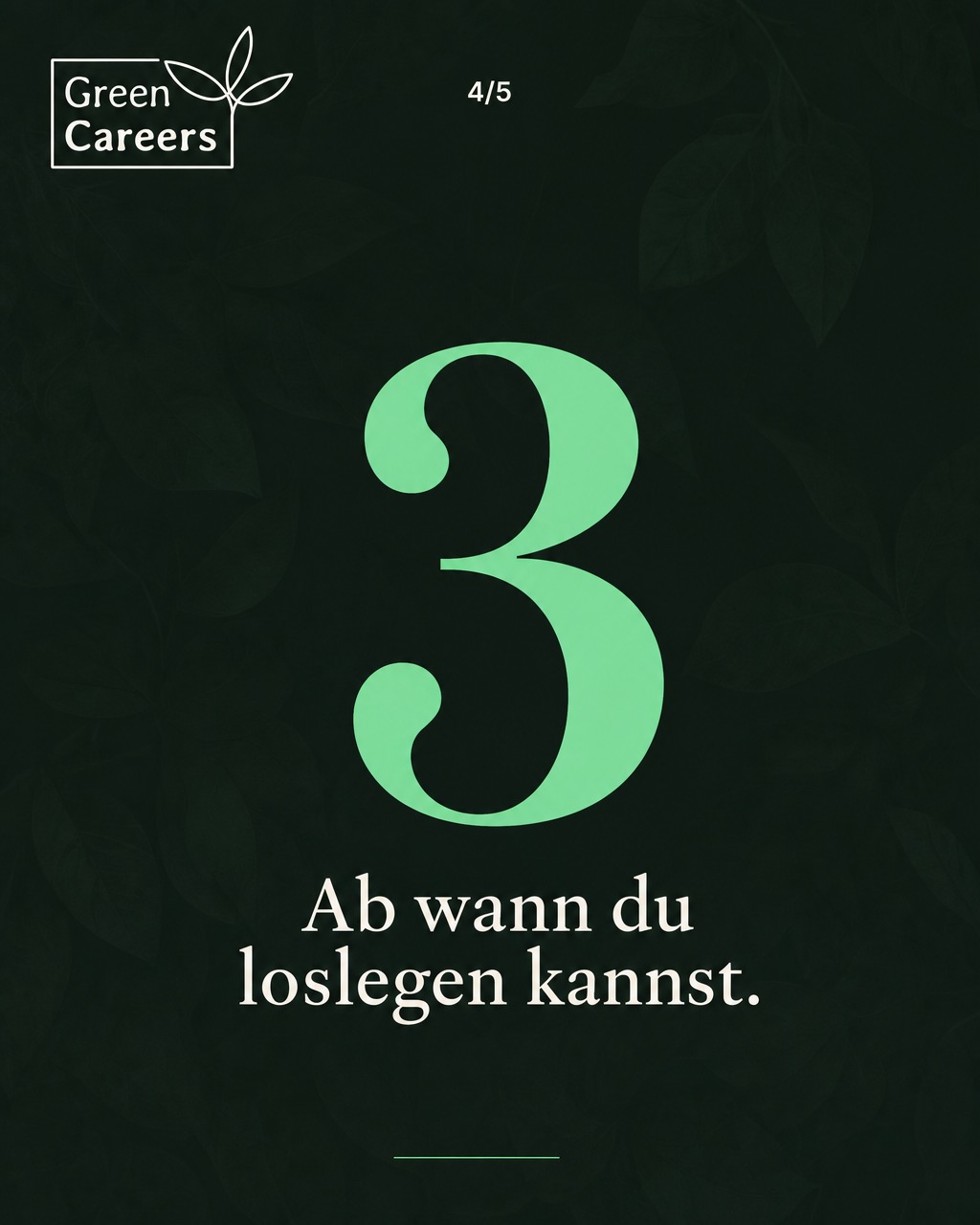 w4-mi-bewerber-k-s4