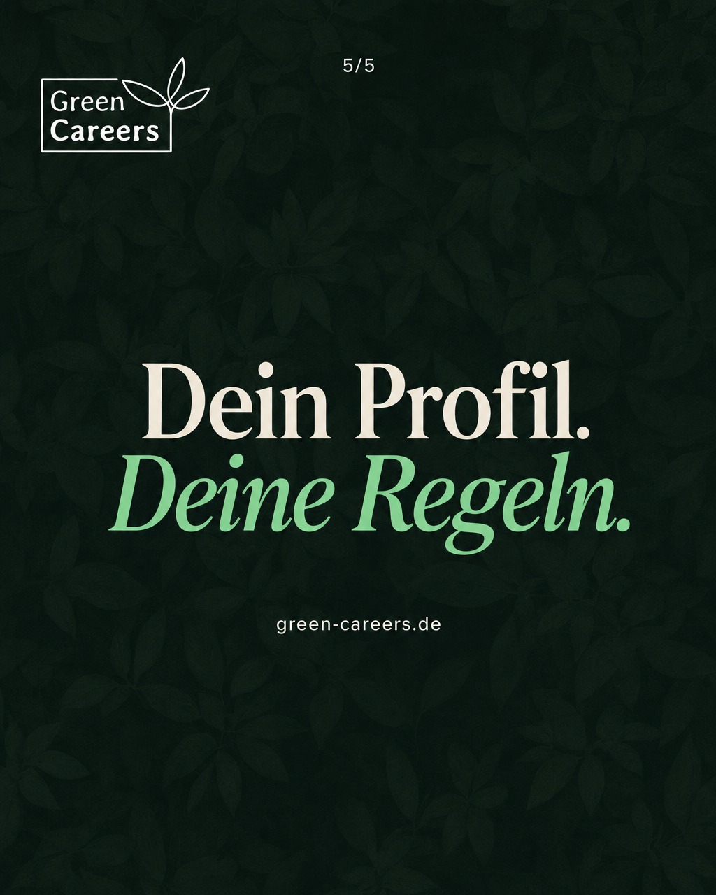 w4-mi-bewerber-k-s5
